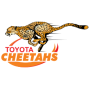 Cheetahs