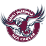 Sea Eagles