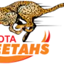 Cheetahs