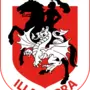 St George Illawarra Dragons